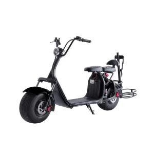 FatWheel Cruiser X (Dual Motor)